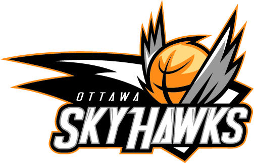 Ottawa SkyHawks 2014-Pres Primary Logo iron on transfers for T-shirts